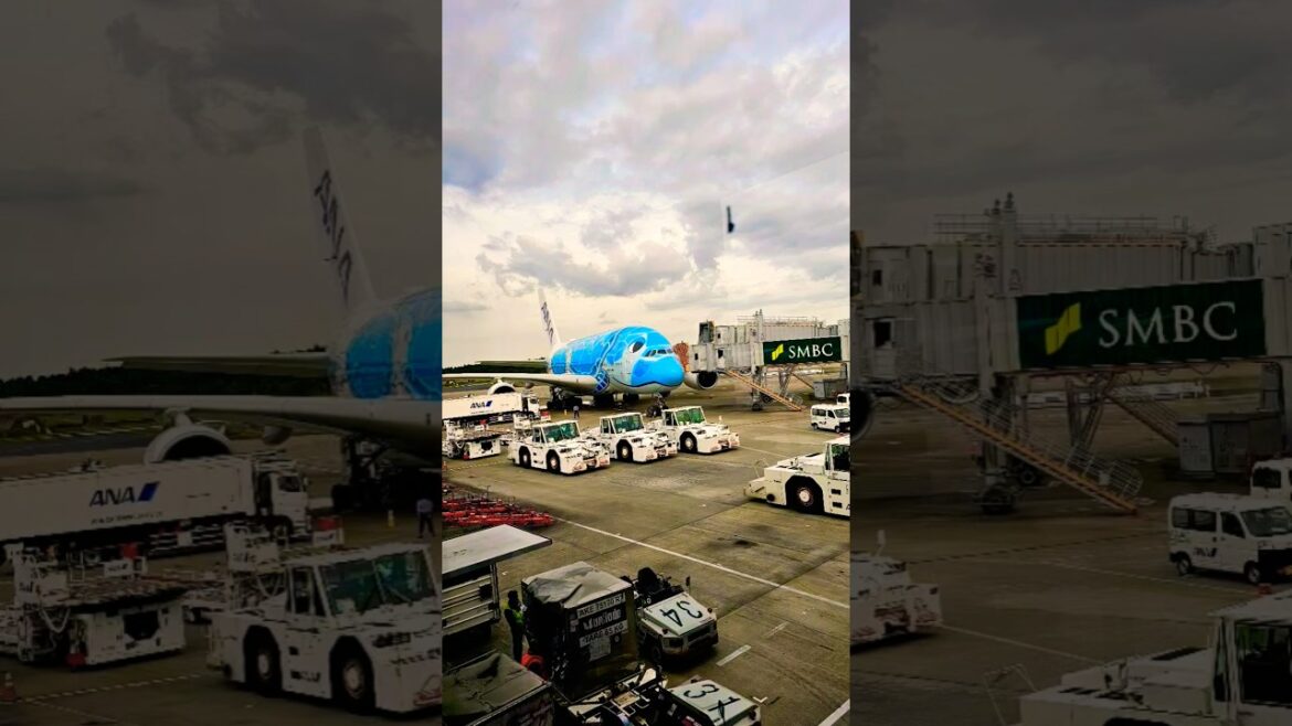 Interesting Plane at Narita Airport #nrt #anaairlines #japan #planespotting #travel