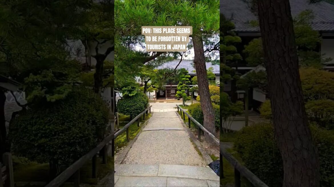 Hiking Japan’s Ancient Samurai Trail Hiking Japan's Ancient Samurai Trail