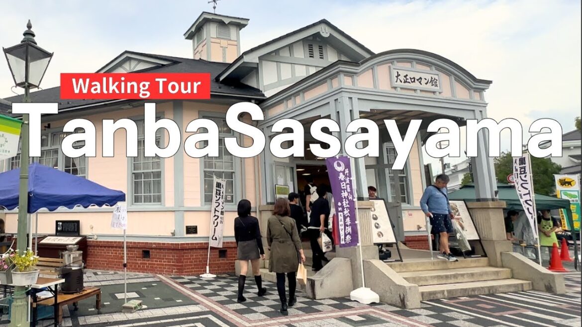Hyogo Tanba Sasayama Aji Festival October Weekend Daytime Walking Tour | October 2025 • 4K HDR