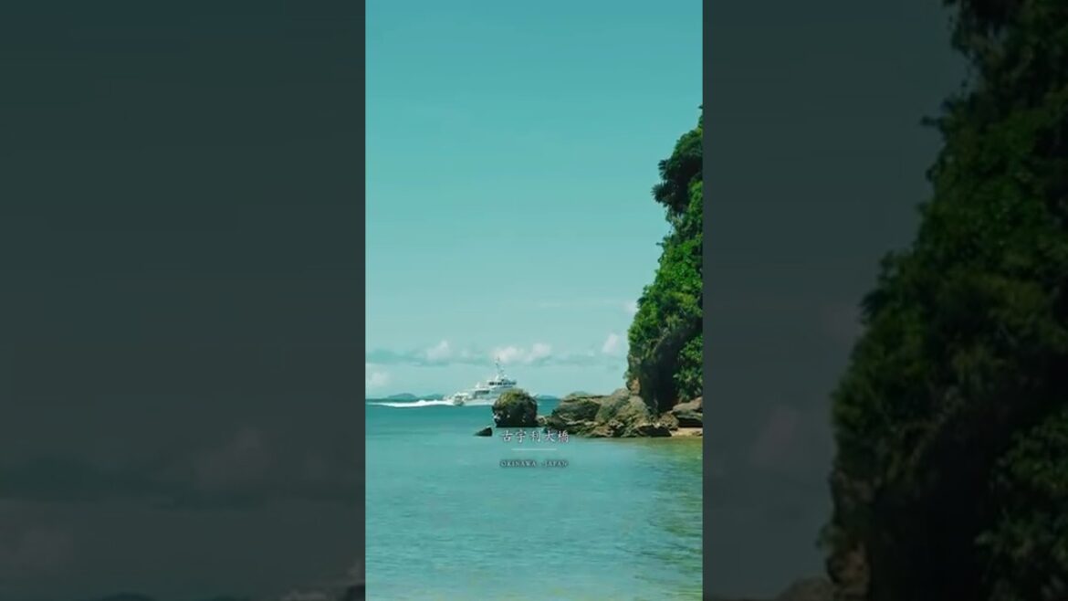 โ๏ธ๐ด๐ง๐ท Wonderful #travel #trending #viralvideo #shorts ๐ฏ๐ต #Okinawa #trendingvideo @Iovebrazilpower โ๏ธ๐ด๐ง๐ท Wonderful #travel #trending #viralvideo #shorts ๐ฏ๐ต #Okinawa #trendingvideo @Iovebrazilpower