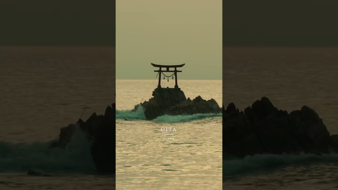 The most beautiful spot in Japan🇯🇵  📍Oita -大分- 📍Yamagaya -山形- 📍Niigata -新潟- 📍Nagano -長野- The most beautiful spot in Japan🇯🇵  📍Oita -大分- 📍Yamagaya -山形- 📍Niigata -新潟- 📍Nagano -長野-