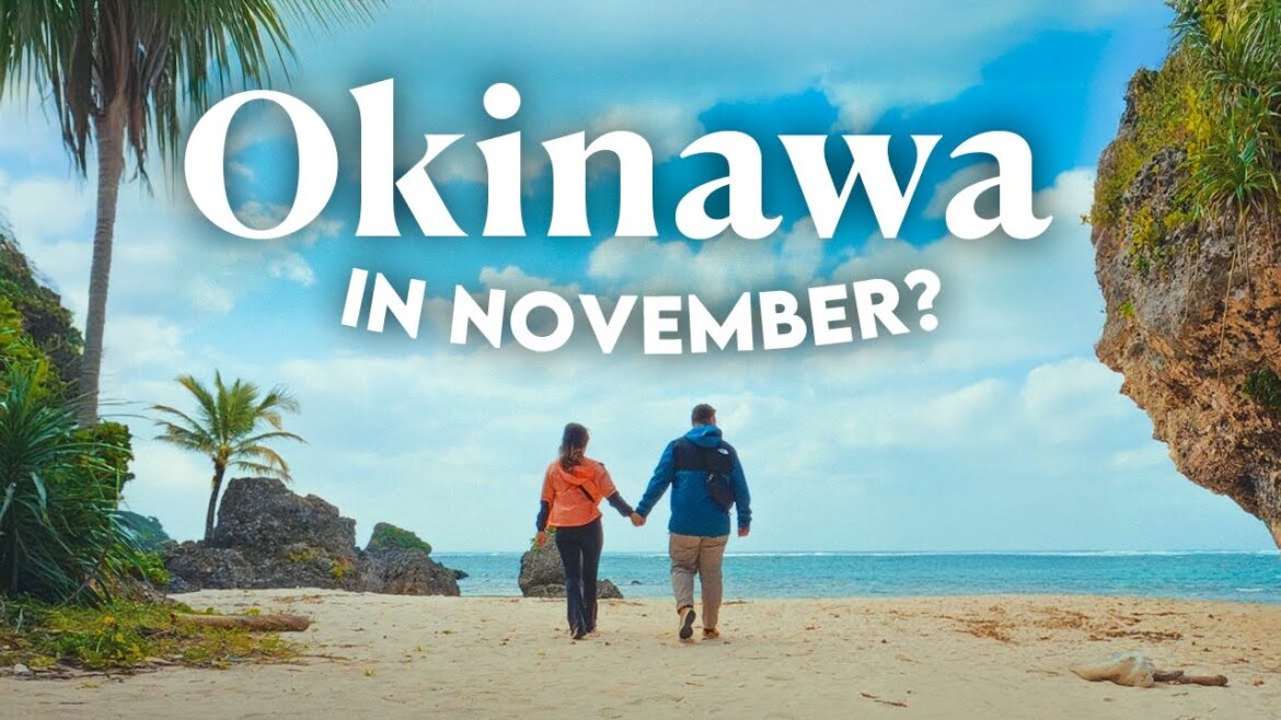 We visited Okinawa in November, NOT what we expected | Travel VLOG We visited Okinawa in November, NOT what we expected | Travel VLOG