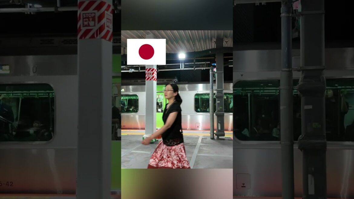 TOKYO SUBWAY  #travel #tokyo #japan