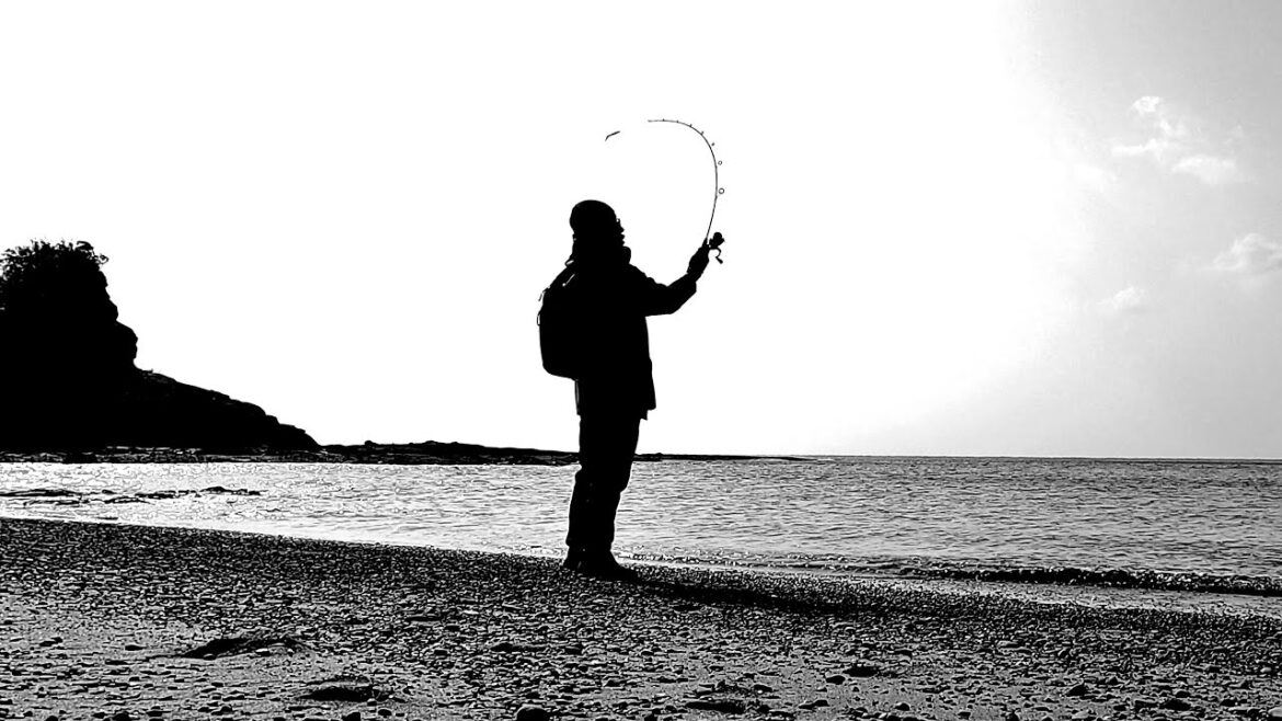 Wakayama 5 – 和歌山旅 5 (Final) Wakayama 5 - 和歌山旅 5 (Final)