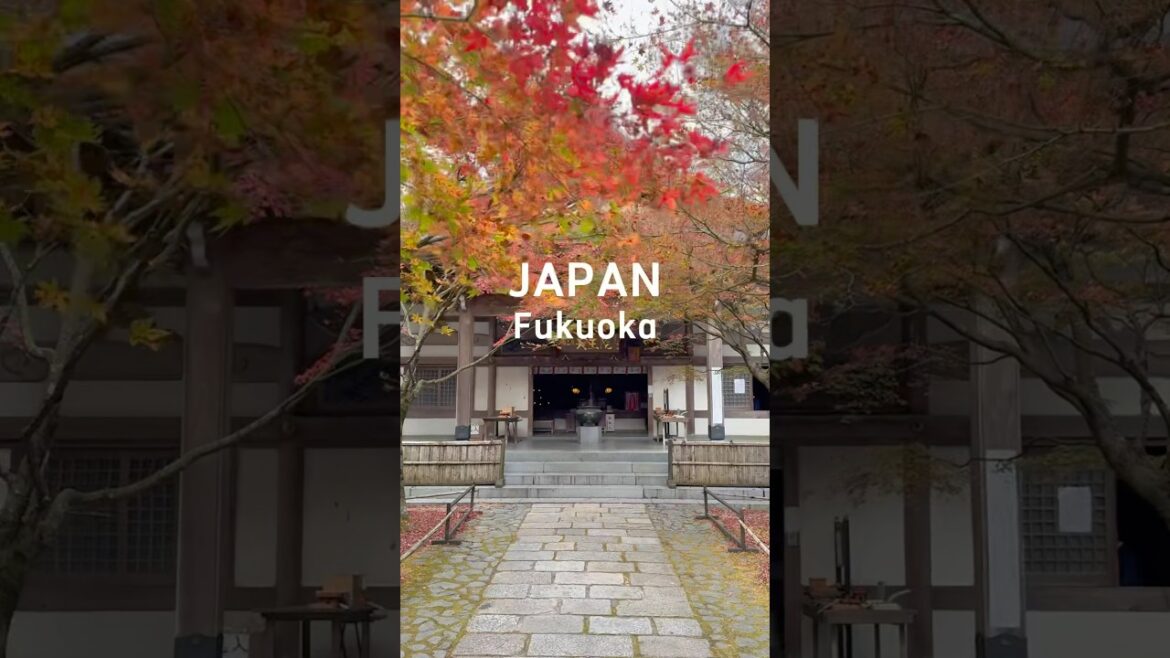 美麗的福岡。Hidden Spots for Autumn Foliage in Fukuoka, Japan!