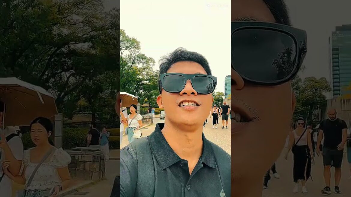 Osaka Castle Travel Dump