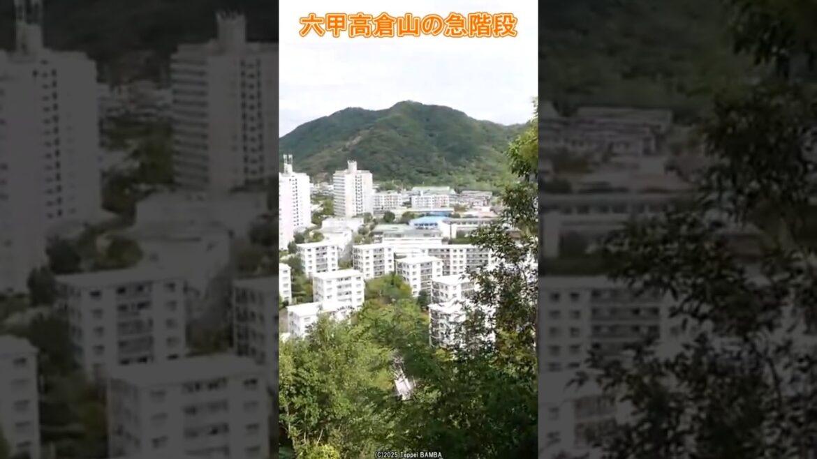 高倉山から急勾配階段をくだる【六甲全山縦走路】 #六甲山 #神戸市 #高倉山