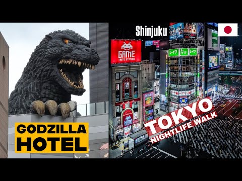 Night Walk in Tokyo Red Light District – Shinjuku Kabukicho – Japan ЁЯЗпЁЯЗ╡ Walking Tour Night Walk in Tokyo Red Light District - Shinjuku Kabukicho - Japan ЁЯЗпЁЯЗ╡ Walking Tour
