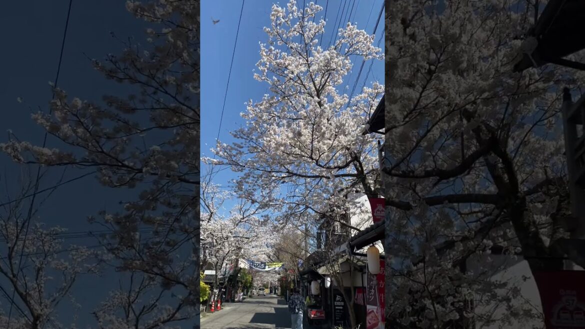 Town of Aso – Kumamoto #japan #lifeisbutadream #kumamoto Town of Aso - Kumamoto #japan #lifeisbutadream #kumamoto