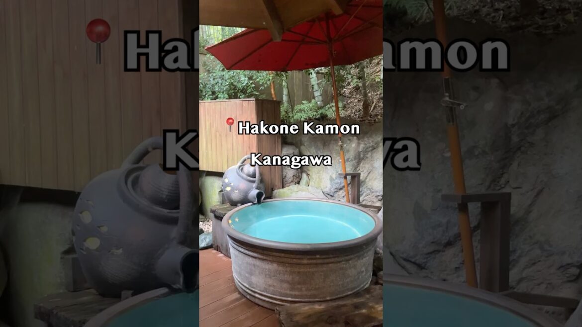 ♨️🌸 Hakone Kamon(箱根花紋 – 神奈川) ♨️🌸 Hakone Kamon(箱根花紋 – 神奈川)