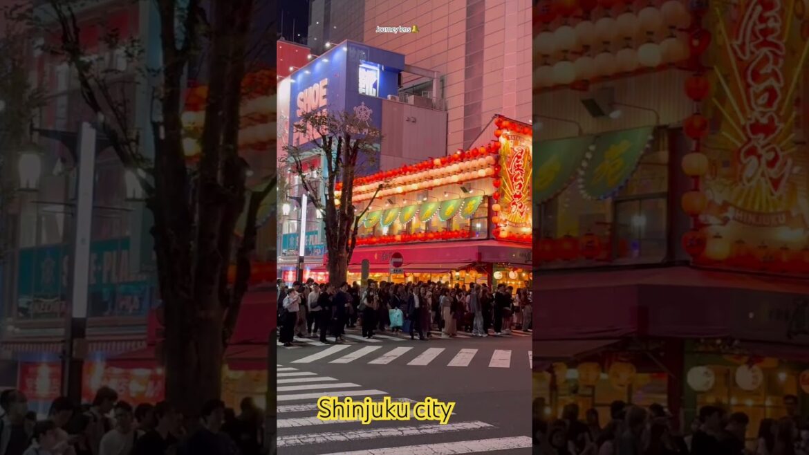 Explore night view of Shinjuku #journeylens #travel #foryou #japantravel Explore night view of Shinjuku #journeylens #travel #foryou #japantravel