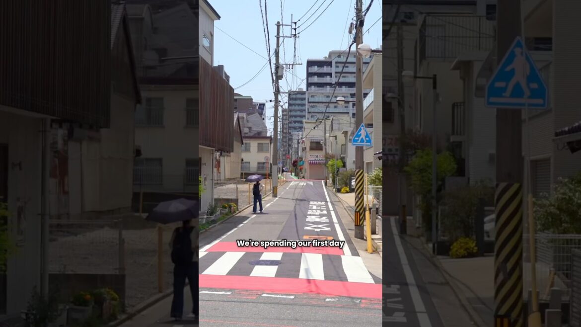 When People Visit Japan But Skip Places Like This 🇯🇵 #japantravel