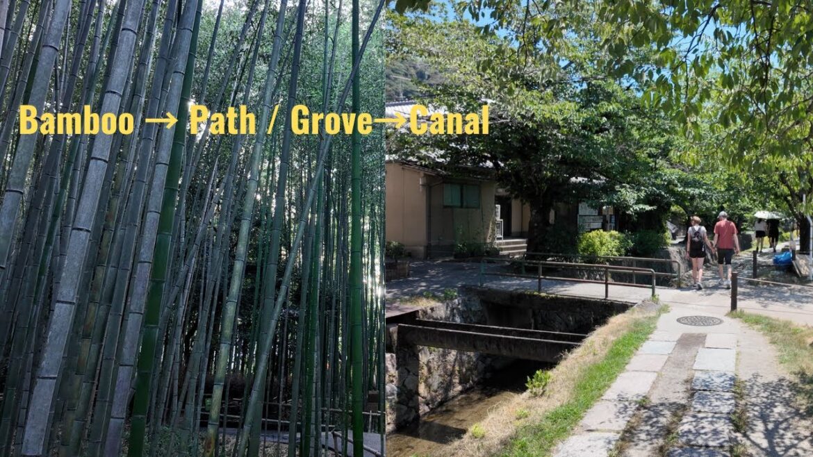 Bamboo Forest & Canal Strolls : Arashiyama + Philosopher’s Path Guide Bamboo Forest & Canal Strolls : Arashiyama + Philosopher's Path Guide