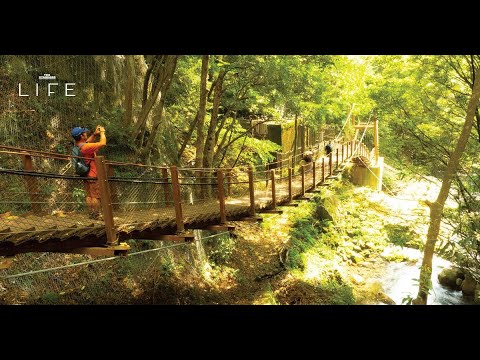 2 New Trails in Japan: Nagano & Shizuoka Onsen Gastronomy Adventure! 2 New Trails in Japan: Nagano & Shizuoka Onsen Gastronomy Adventure!