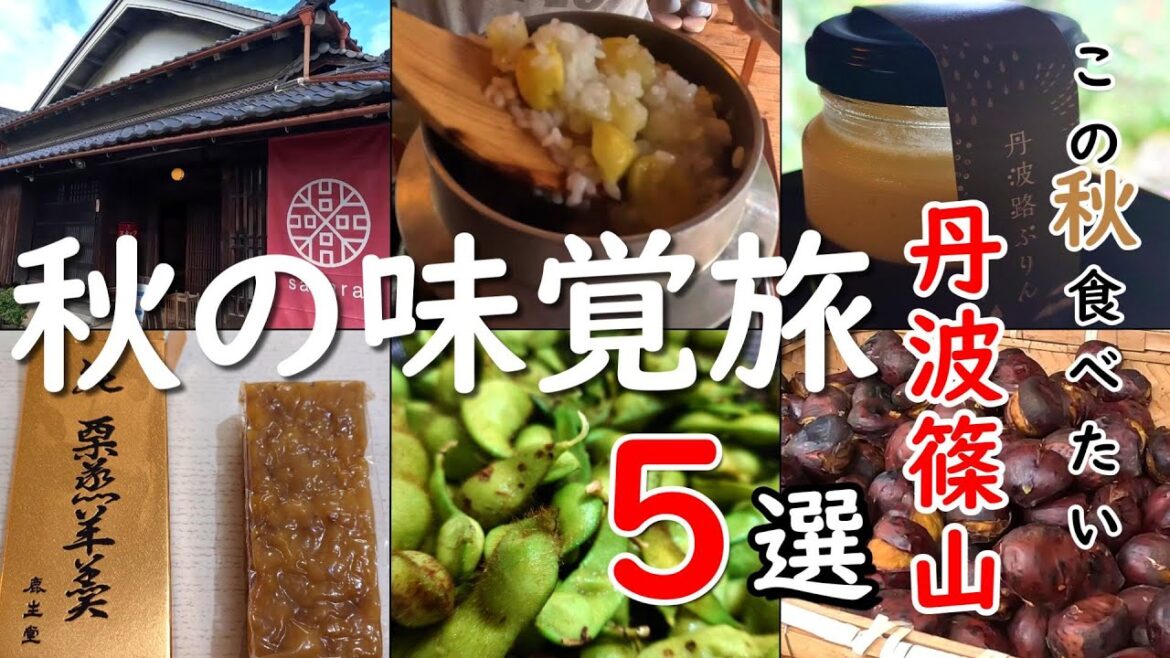 【この秋食べたい丹波篠山】秋の味覚旅5選!古民家ランチ、城下町食べ歩き、黒枝豆収穫体験✨10月限定✨ 【この秋食べたい丹波篠山】秋の味覚旅5選!古民家ランチ、城下町食べ歩き、黒枝豆収穫体験✨10月限定✨