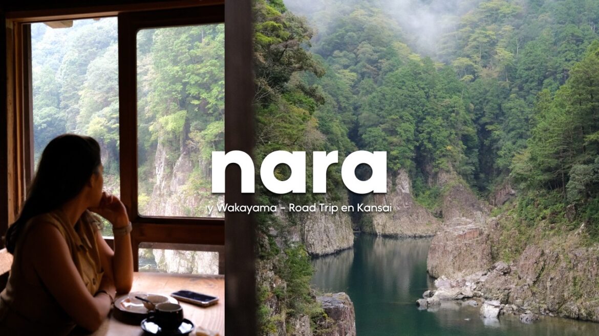 NARA, mucho más que ciervos – WAKAYAMA Y NARA – Ruta por Japón 20 días Parte 1 NARA, mucho más que ciervos - WAKAYAMA Y NARA - Ruta por Japón 20 días Parte 1