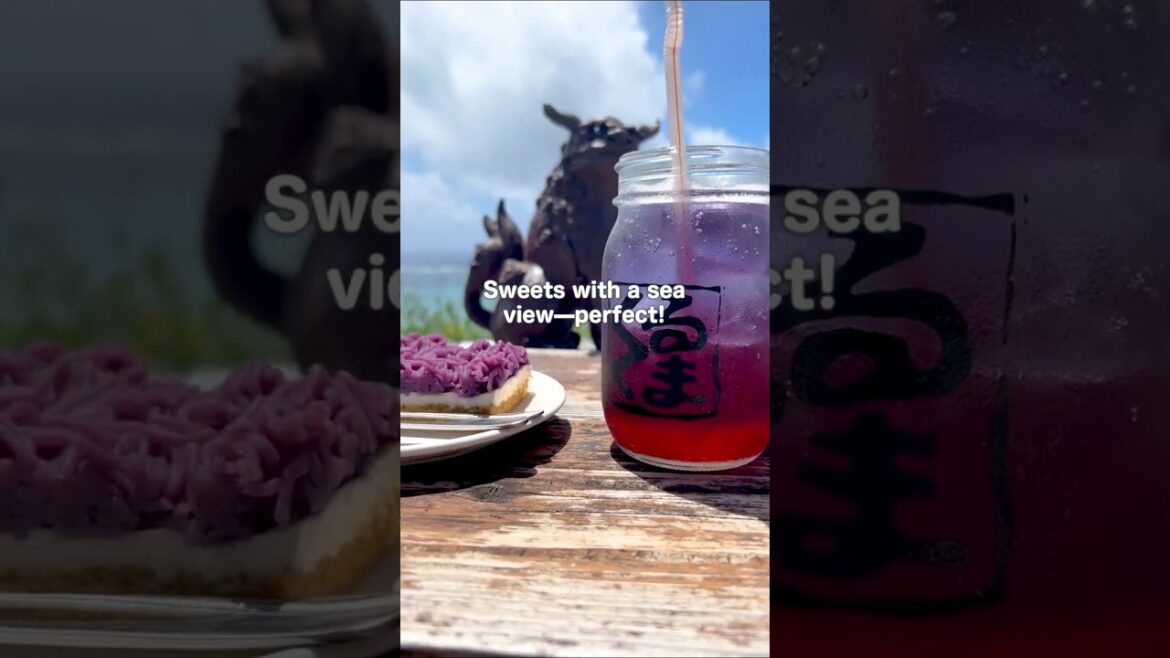 🌴 Stunning Views, Dinosaurs & Thai Food!? Cafe Curcuma in Okinawa【Cafe Guide】