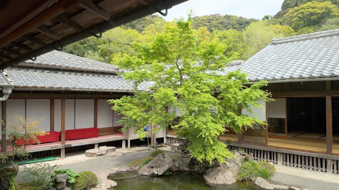 Japan Kyushu Kagoshima Shimazu Family Villa Senganen Sakurajima Volcano Somei Yoshino Cherry Blossom Japan Kyushu Kagoshima Shimazu Family Villa Senganen Sakurajima Volcano Somei Yoshino Cherry Blossom