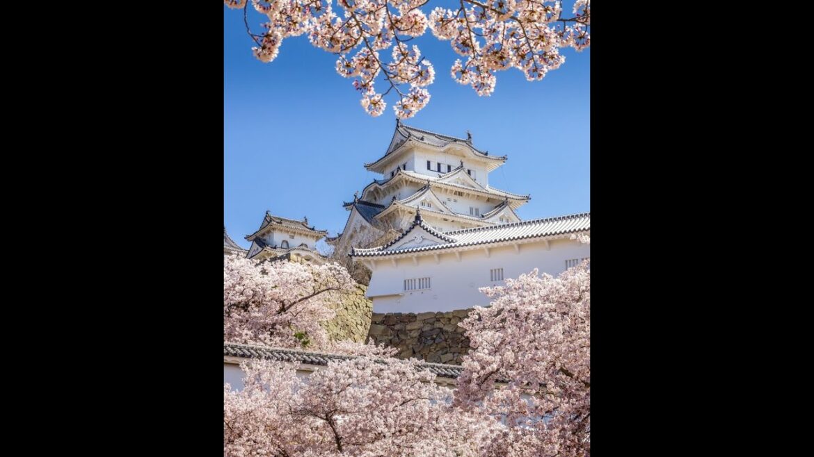 Japan Destination Guide | Wendy Wu Tours Japan Destination Guide | Wendy Wu Tours