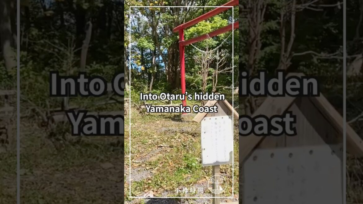 A Hidden Beach Appears Beyond the Forest|Otaru, Japan A Hidden Beach Appears Beyond the Forest|Otaru, Japan