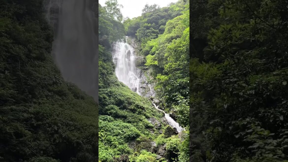 kanba falls in Okayama in summer vs winter #shorts