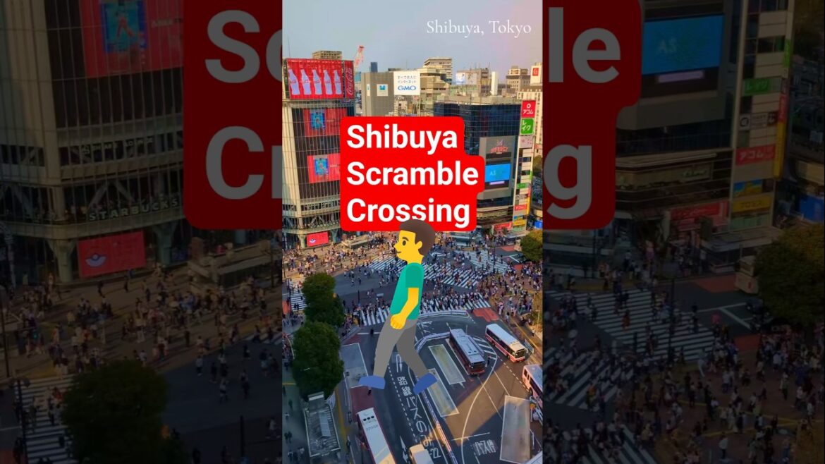 Is Shibuya Scramble Crossing worth visiting or? Is Shibuya Scramble Crossing worth visiting or?
