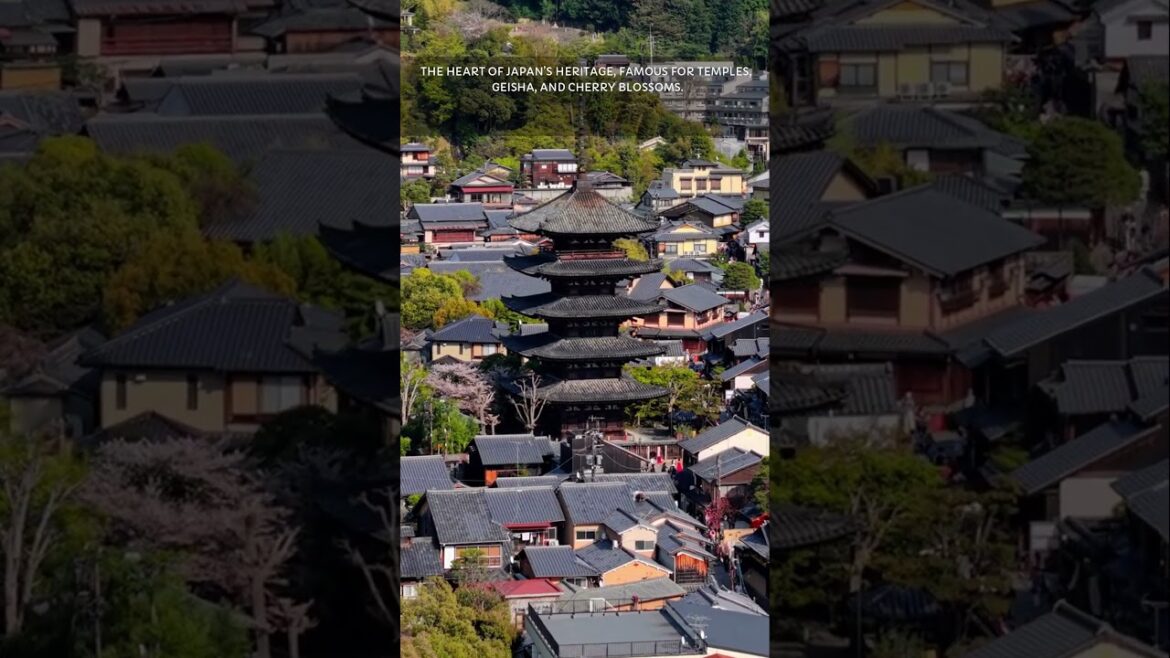 Kyoto, Japan #travel #travelphotography #travelvlog #japan Kyoto, Japan #travel #travelphotography #travelvlog #japan