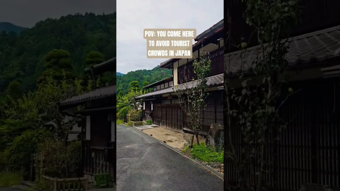 Walking the Ancient Nakasendo Trail (and Why You Should Go)