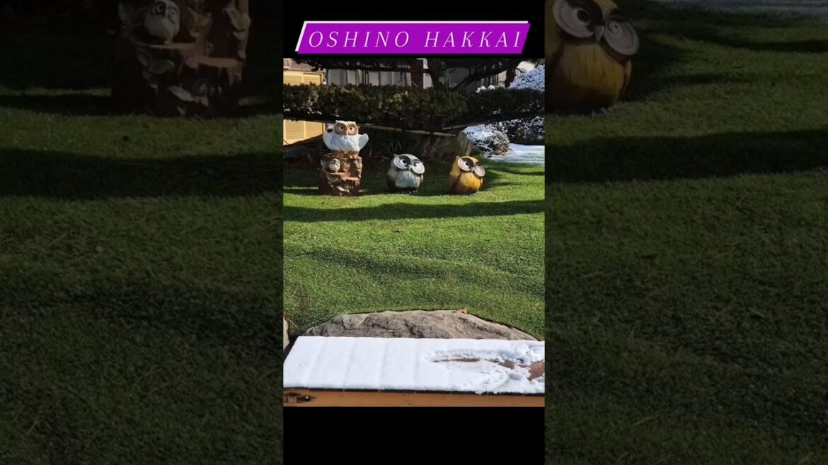 Hidden Gems 💎of Japan 🇯🇵 - Oshino Hakkai