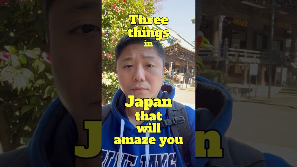 Amazing Things in Japan ππ₯ Tokyo Shinjuku Walk Tour Amazing Things in Japan ππ₯ Tokyo Shinjuku Walk Tour