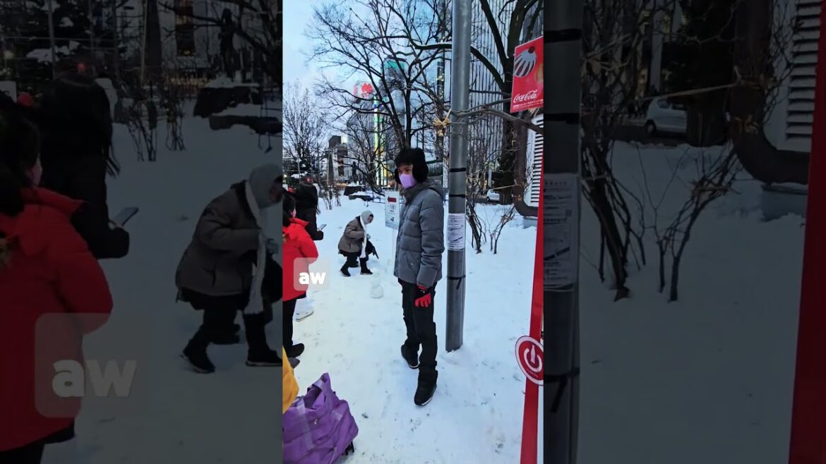 Odori Park, Sapporo Hokkaido #japan #travel #hokkaido #sapporo