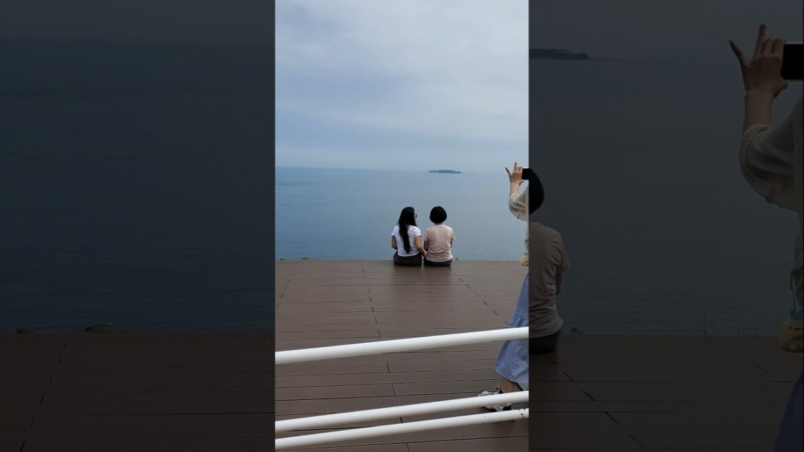 #atami #castle #kanagawa #japan