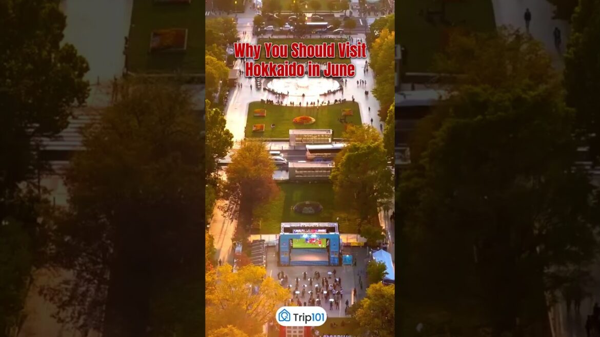 5 Reasons to Visit Hokkaido This June π―π΅π #shortsvideo #shorts #hokkaido #japantravel 5 Reasons to Visit Hokkaido This June π―π΅π #shortsvideo #shorts #hokkaido #japantravel