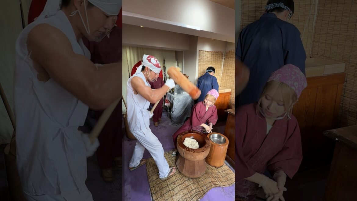 A must-try glutinous rice mochi in Kyoto  - Japanese street food