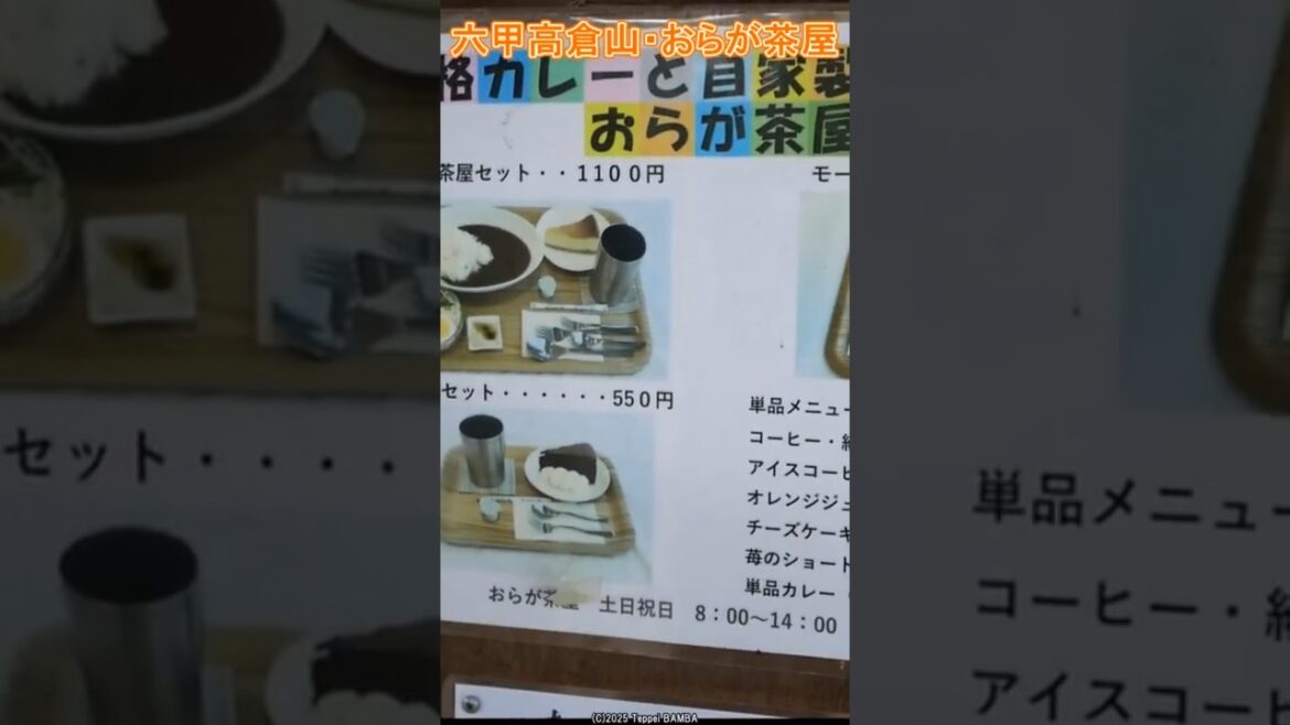 おらが茶屋と高倉山【六甲全山縦走路】 ##六甲山 #神戸市 #名物カレー