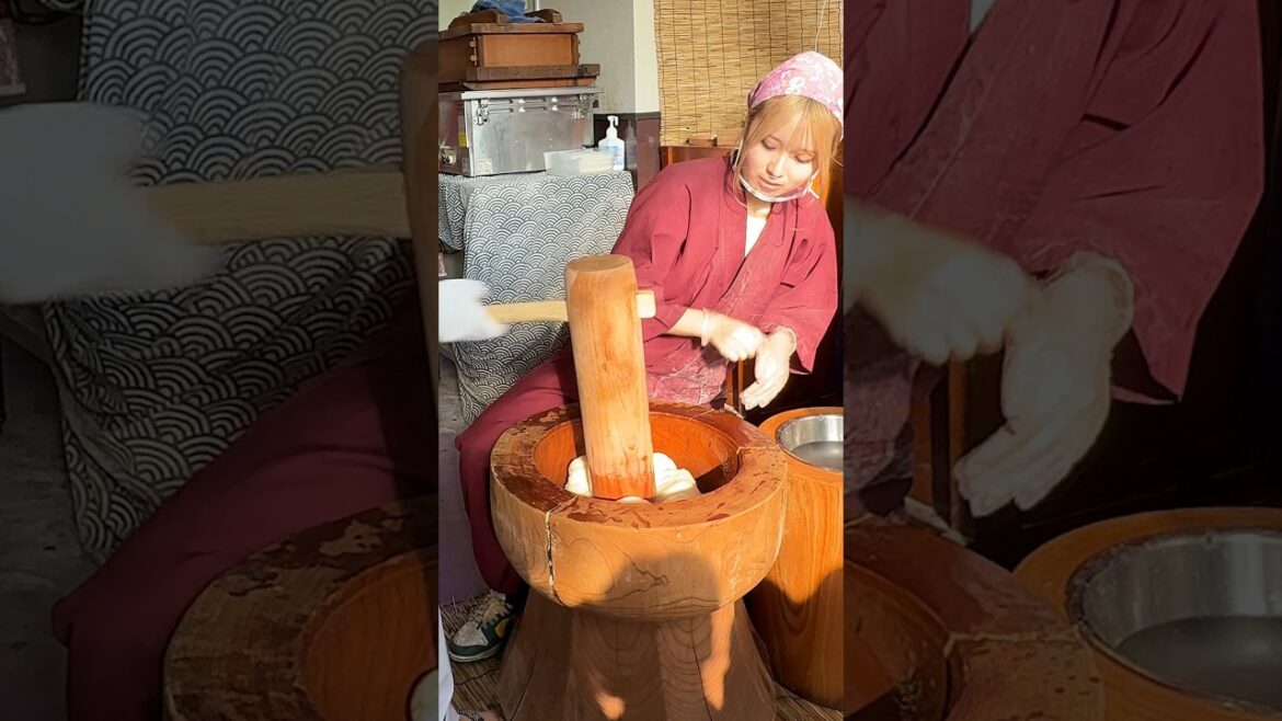 Must-Try! Gutinous Rice Mochi in Kyoto Japan Must-Try! Gutinous Rice Mochi in Kyoto Japan