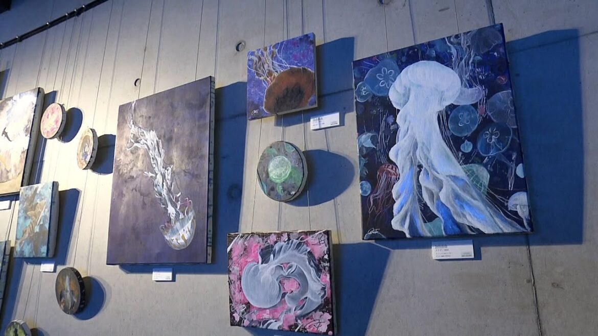 RNC news every.【中四国 旬コレ】アート×水族館　2025/10/17放送