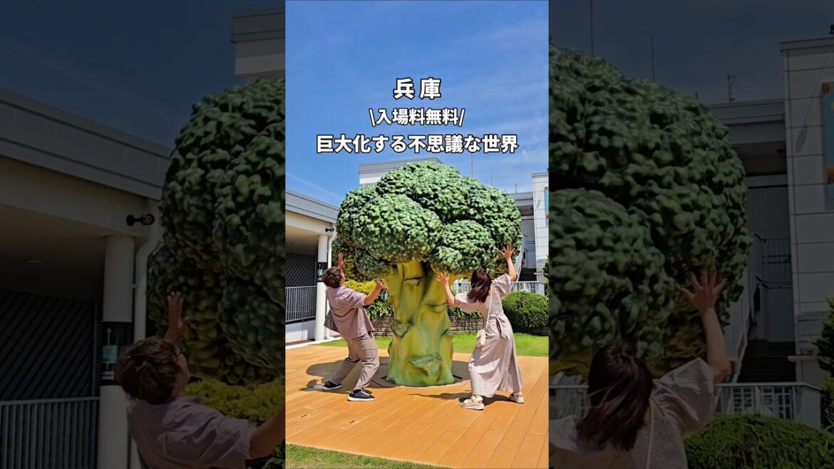 【入場料無料】巨大化する不思議な世界⋯🥦⁉️ 【入場料無料】巨大化する不思議な世界⋯🥦⁉️