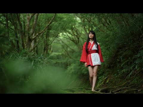 Lost in the Sea of Trees — Aokigahara Forest Walk (Japan 4K) Lost in the Sea of Trees — Aokigahara Forest Walk (Japan 4K)