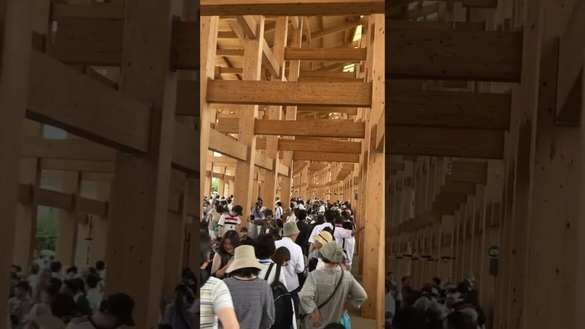 Japan Moments #3 Under the Giant Roof of Expo 2025 Osaka #心に残る日本 #japantravel  #japanvlog Japan Moments #3 Under the Giant Roof of Expo 2025 Osaka #心に残る日本 #japantravel  #japanvlog