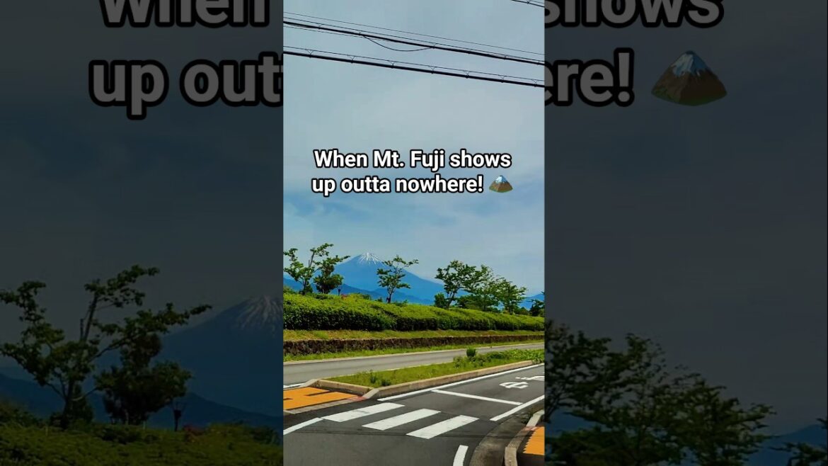 The best bus journey of your life in Japan! Mount Fuji saying hi! #japan #mtfuji #fujisan #shizuoka The best bus journey of your life in Japan! Mount Fuji saying hi! #japan #mtfuji #fujisan #shizuoka
