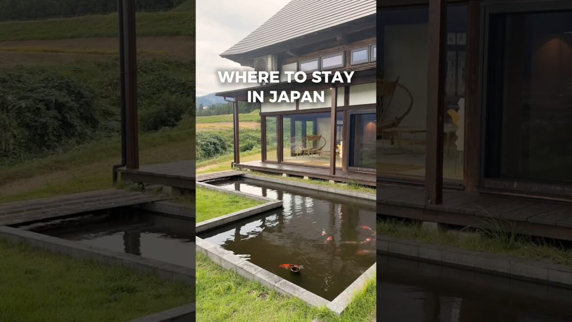 One of the TOP stays in Niigata Prefecture! #pr One of the TOP stays in Niigata Prefecture! #pr