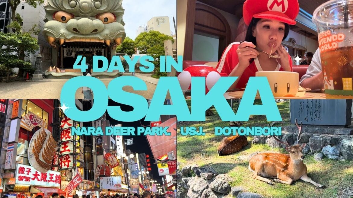 4 Days in Osaka ๐ฏ๐ต | Food, Nara Deer Park & Super Nintendo World Adventures! 4 Days in Osaka ๐ฏ๐ต | Food, Nara Deer Park & Super Nintendo World Adventures!