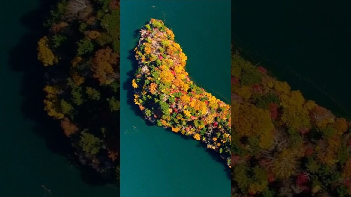 MOST BEAUTIFUL Autumn Spots in Japan – Part V #nikko MOST BEAUTIFUL Autumn Spots in Japan - Part V #nikko