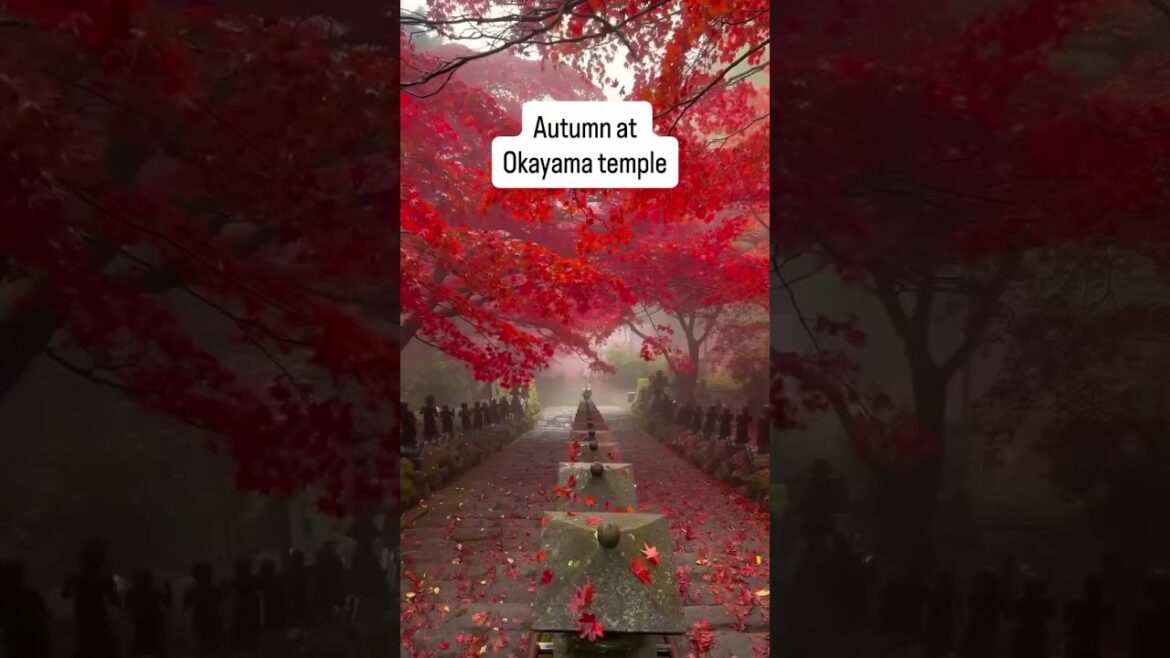 This is Autumn 🍁 at Okayama Temple #japantravel #travel