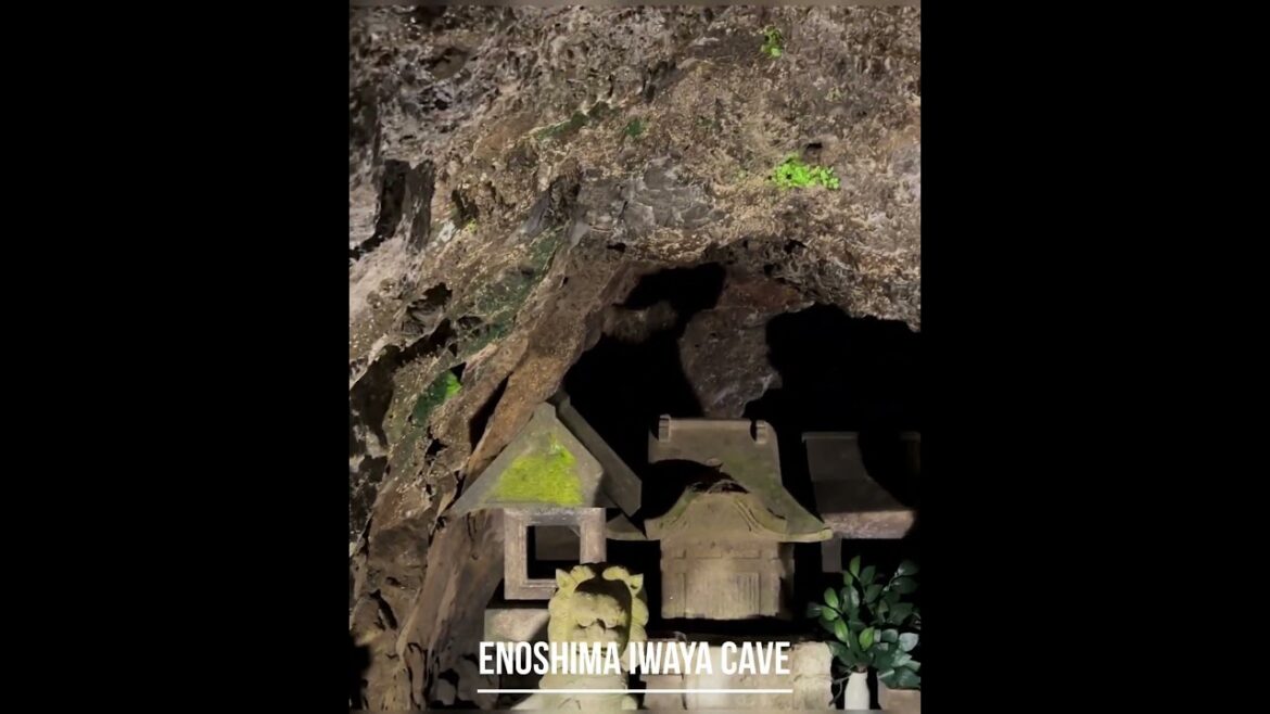Enoshima Iwaya Cave | Japan | 03 #japan  #cave #limestone #Enoshima #IwayaCaves #EnoshimaIsland
