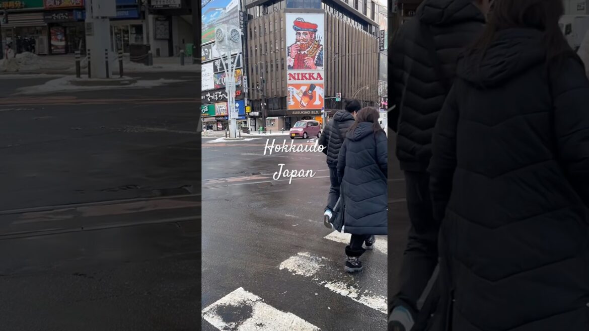 Hokkaido in Winter is something else! 🇯🇵❄️ #japan #hokkaido #sapporo #otaru #اليابان