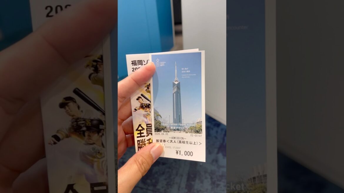 Travel Vlog Exploring Fukuoka Tower and Momochihama Beach in the Drizzle Travel Vlog Exploring Fukuoka Tower and Momochihama Beach in the Drizzle