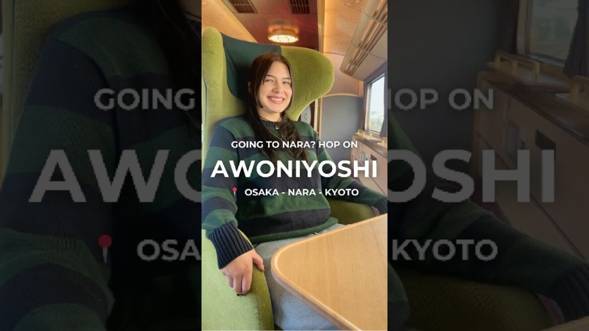 Best Way to Get Around Osaka-Kyoto-Nara #shorts #japantravel #traveltips Best Way to Get Around Osaka-Kyoto-Nara #shorts #japantravel #traveltips