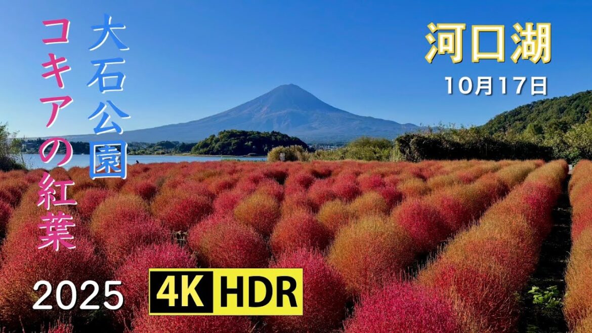 2025 初秋の富士と河口湖(4K-HDR) Mt. Fuji At Lake Kawaguchi In Early Autumn(UHD-HDR) 2025 初秋の富士と河口湖(4K-HDR) Mt. Fuji At Lake Kawaguchi In Early Autumn(UHD-HDR)
